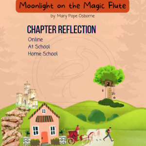 Moonlight on the Magic Flute Chapter Reflection