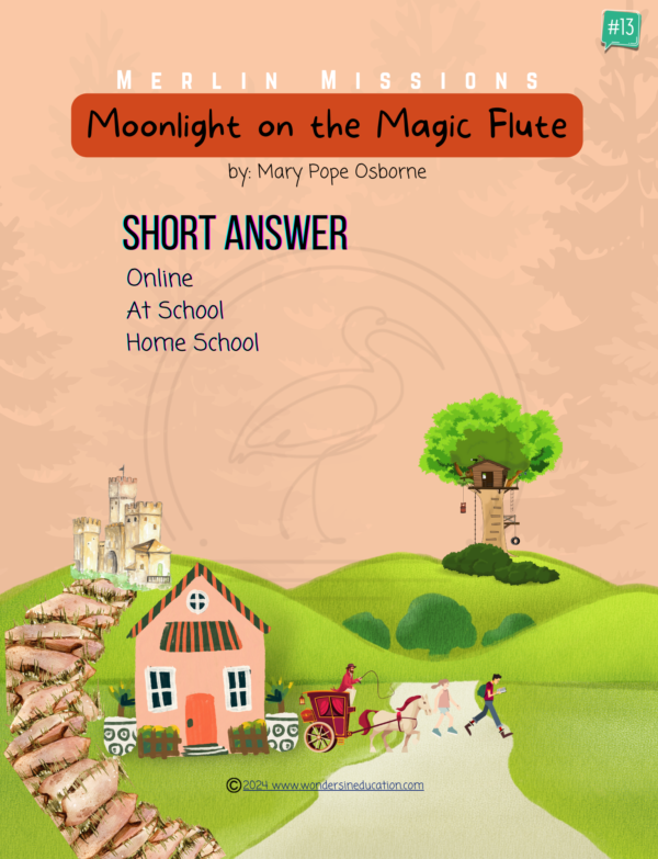 Moonlight on the Magic Flute Short Answer