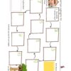 Christmas in Camelot Story Map - Image 2