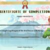 Dragon of the Red Dawn Certificate of Completion - Image 2